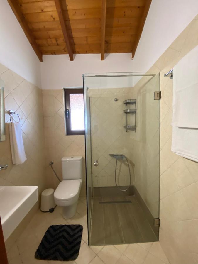 Apartment Hera Loft Ireo (Samos)